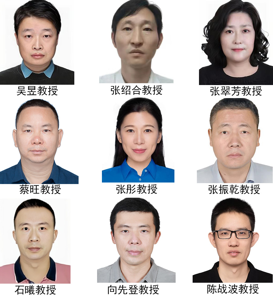 团队队伍（教授）.jpg
